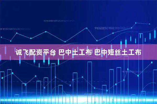 诚飞配资平台 巴中土工布 巴中短丝土工布