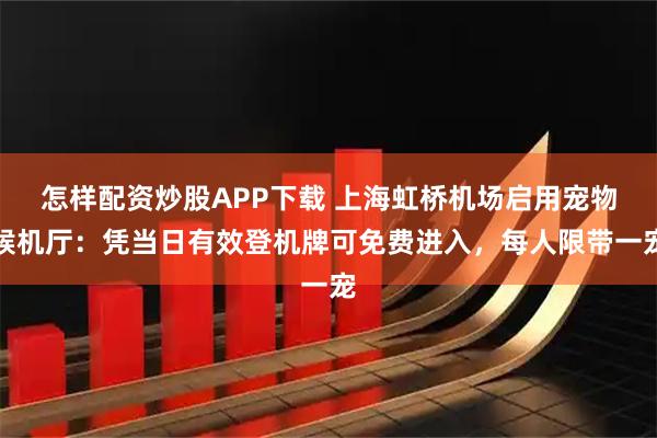 怎样配资炒股APP下载 上海虹桥机场启用宠物候机厅：凭当日有效登机牌可免费进入，每人限带一宠