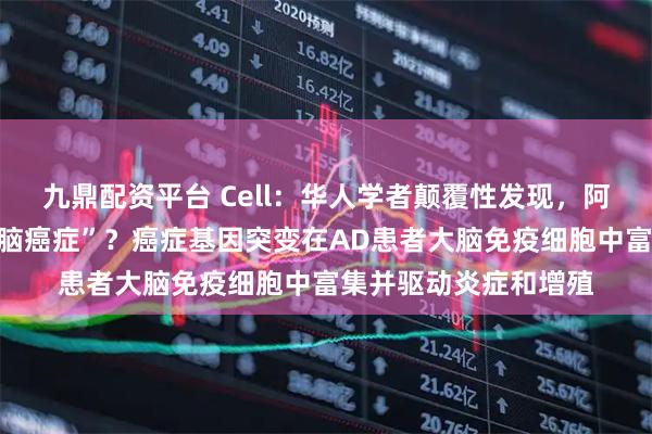 九鼎配资平台 Cell：华人学者颠覆性发现，阿尔茨海默病竟是“大脑癌症”？癌症基因突变在AD患者大脑免疫细胞中富集并驱动炎症和增殖